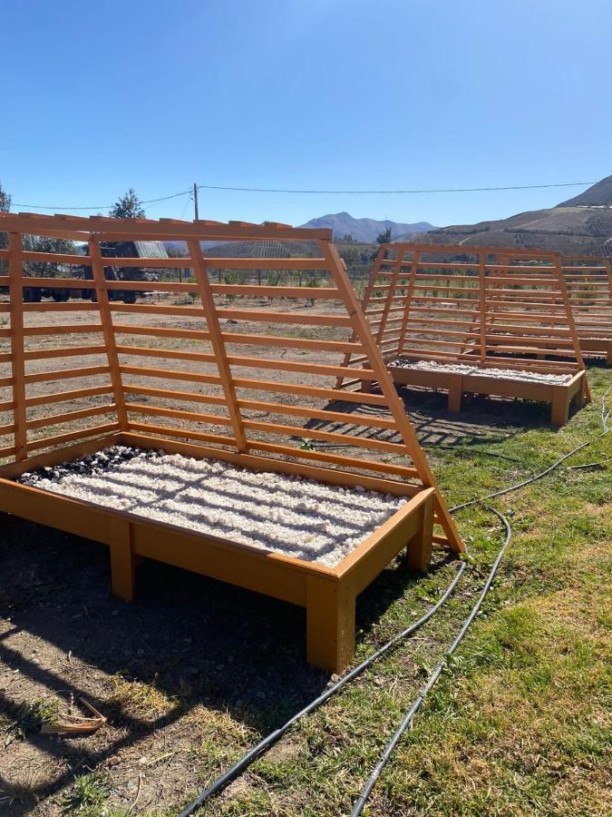 Cabanas Vicuna Cielo De Peralillo - Valle De Elqui Exteriör bild